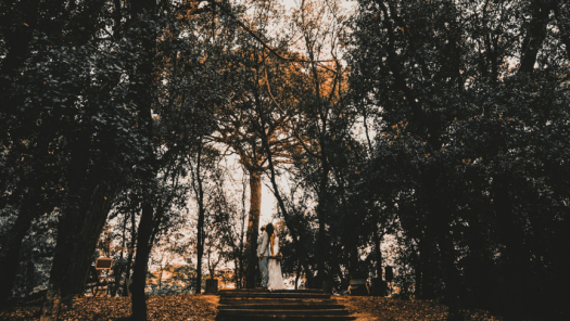 Imagen de Boda y Pareja 