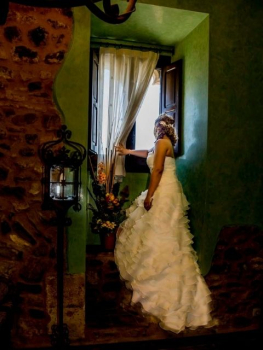 picture of Wedding and Portraits 