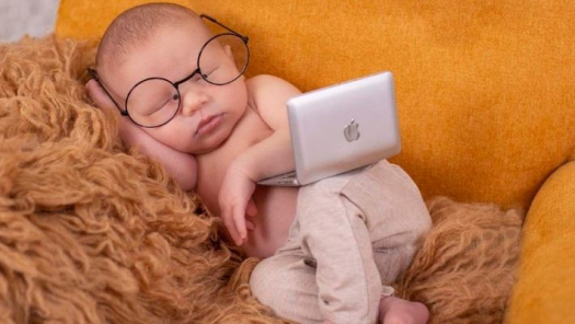 picture of Newborns 