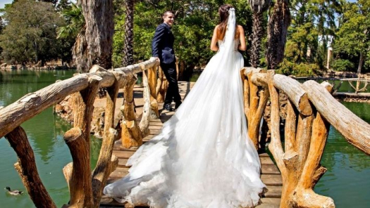 picture of Wedding 