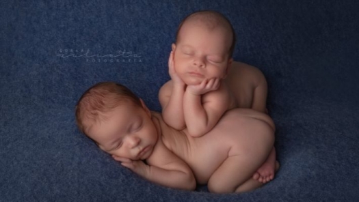 picture of Newborns 