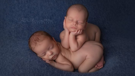 picture of Newborns 