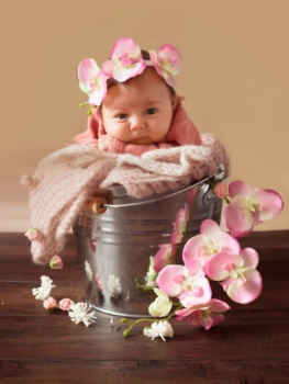 picture of Photography 