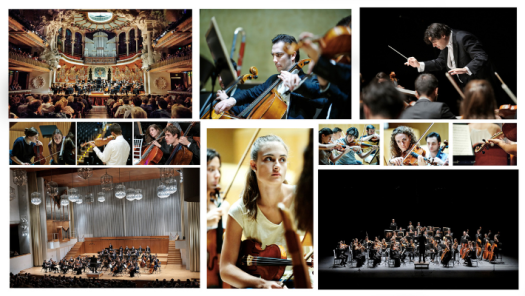picture of Event and Concerts 