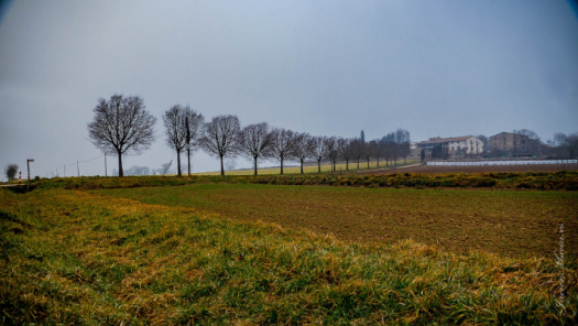 picture of Photography 