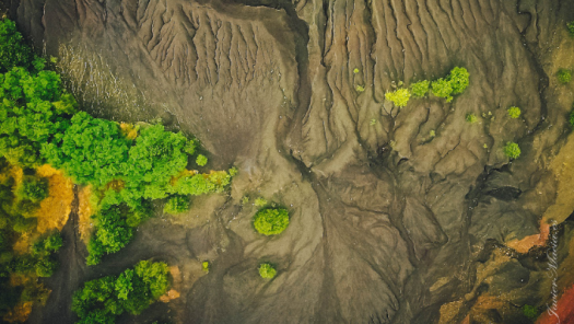 picture of Photography and Drone 