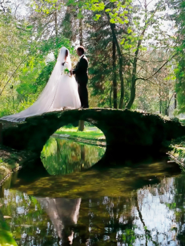 picture of Wedding and Photography 
