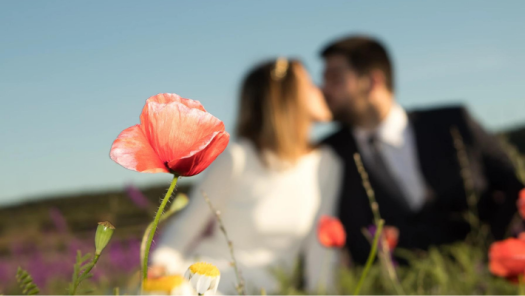 Imagen de Boda y Naturaleza 