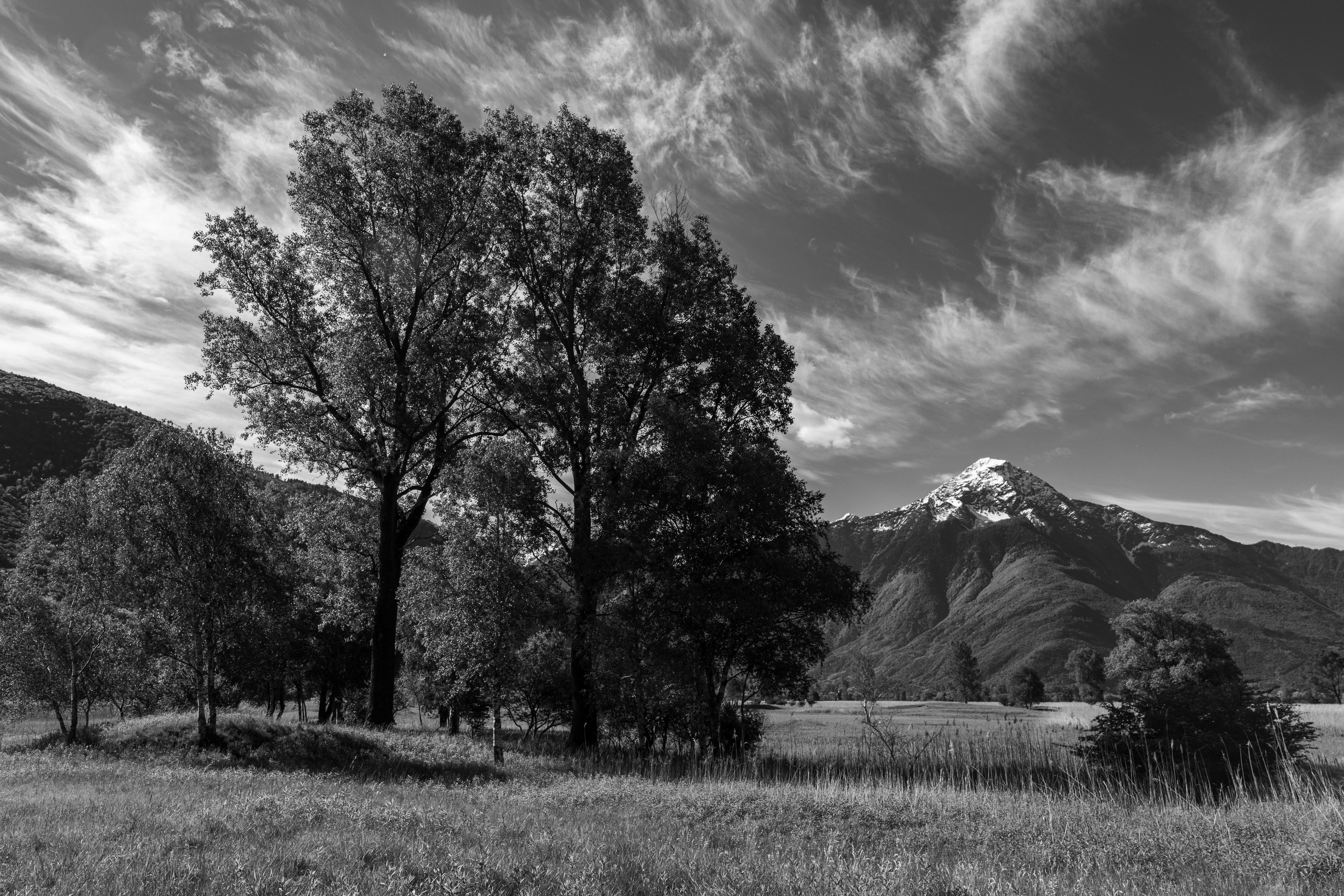 La fotografía en blanco y negro